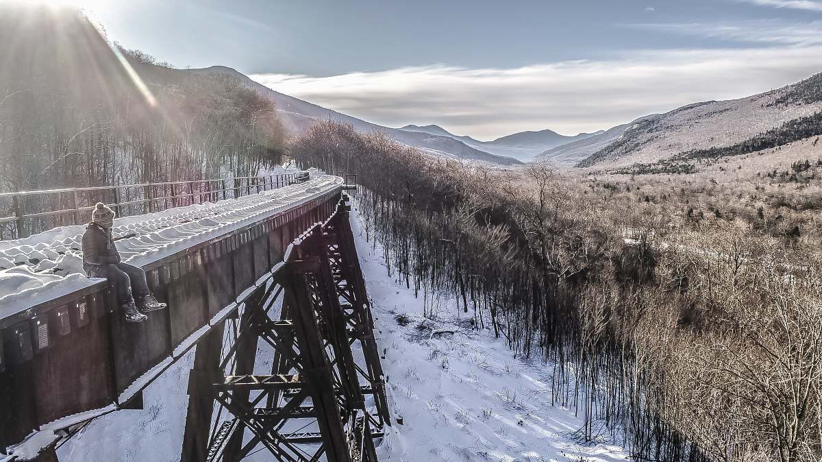 bridge person sitting on brown metal case facing trees photography snow